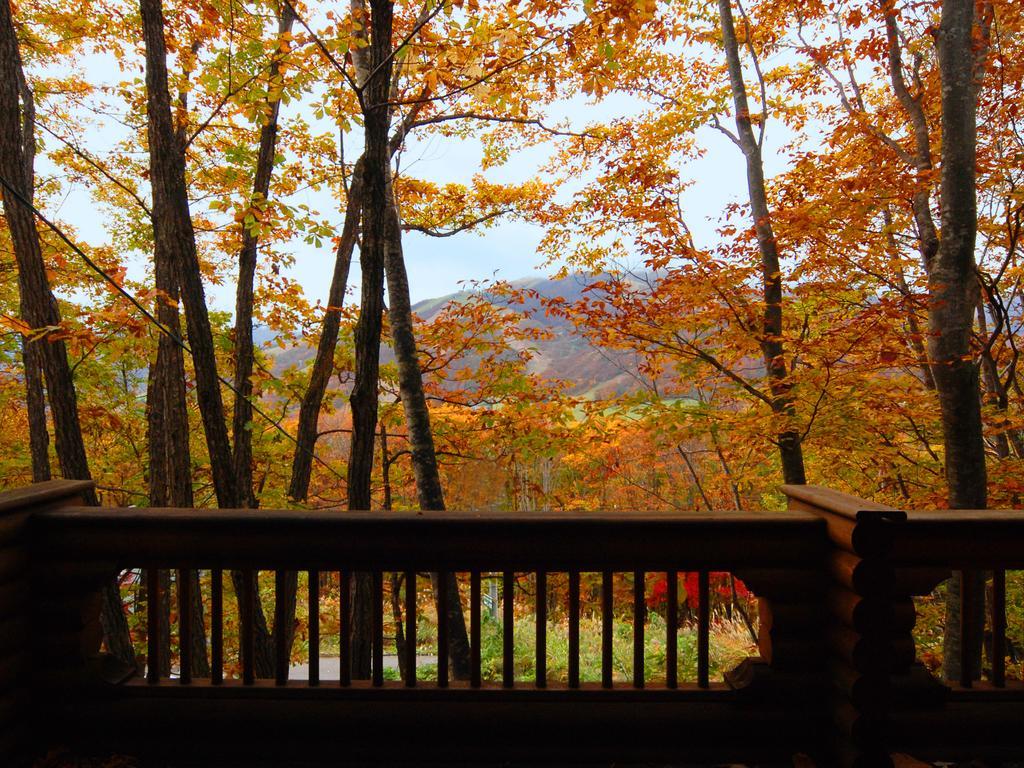 Holiday Cottage Green Valley Hakuba Esterno foto