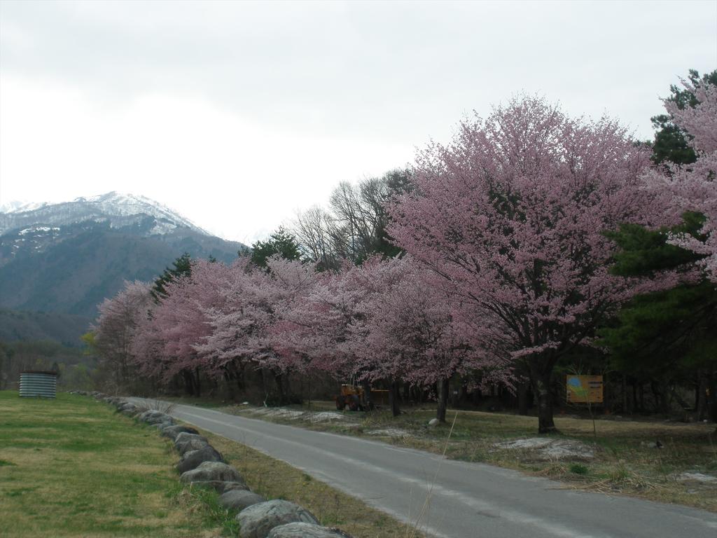 Holiday Cottage Green Valley Hakuba Esterno foto