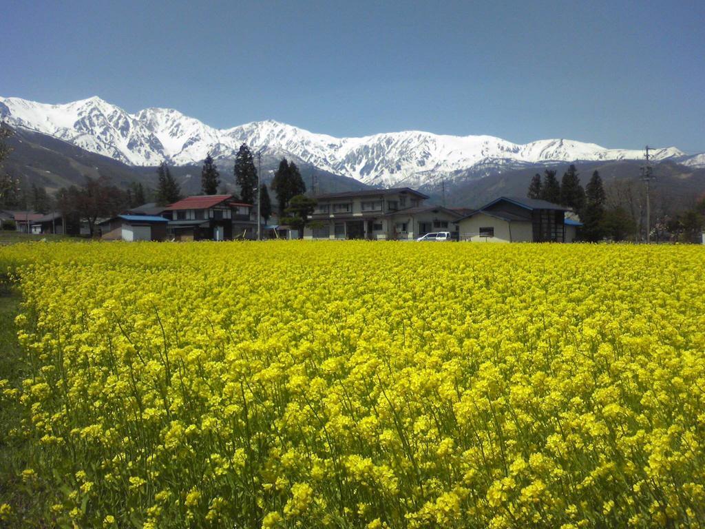 Holiday Cottage Green Valley Hakuba Esterno foto