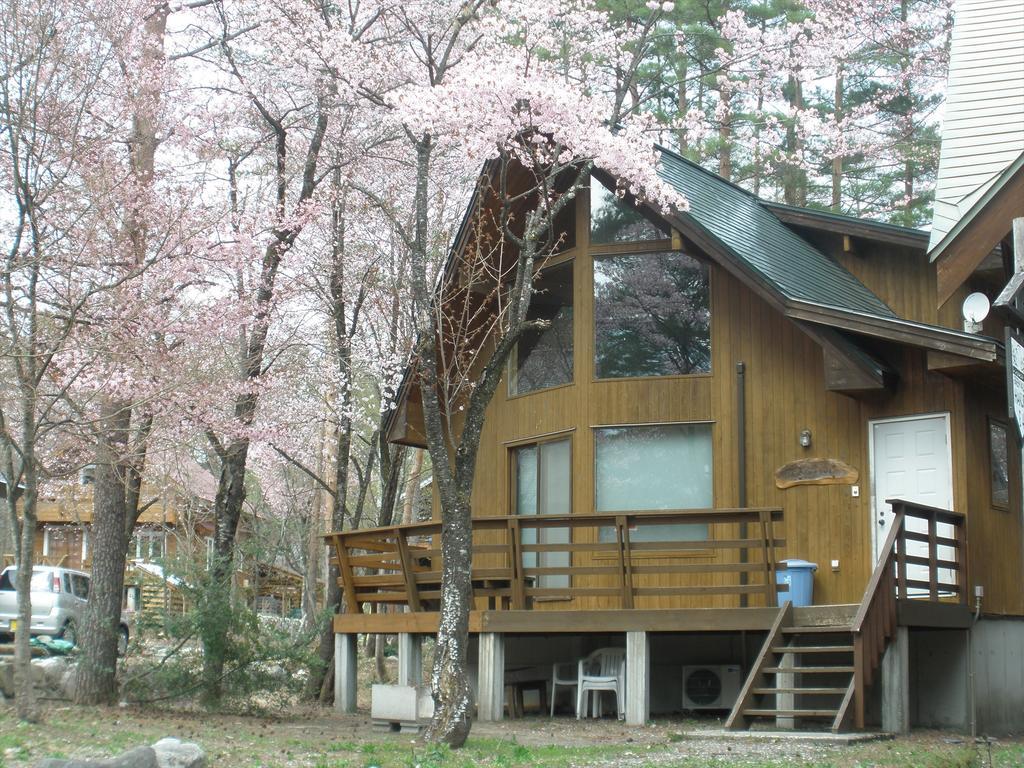 Holiday Cottage Green Valley Hakuba Esterno foto