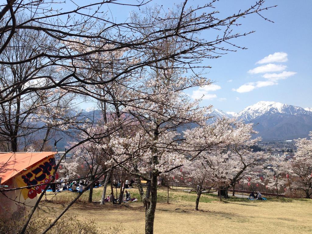 Holiday Cottage Green Valley Hakuba Esterno foto