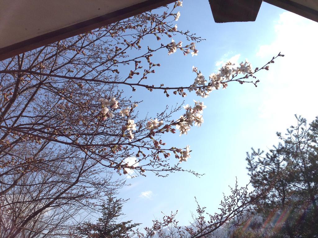 Holiday Cottage Green Valley Hakuba Esterno foto