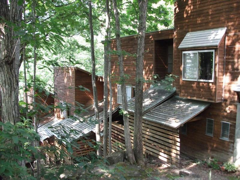 Holiday Cottage Green Valley Hakuba Esterno foto